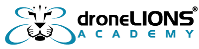 Drone Lions Logo