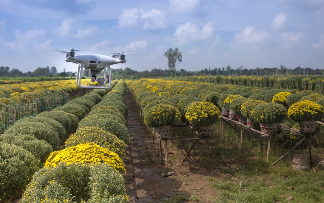 Agriculture & Forestry