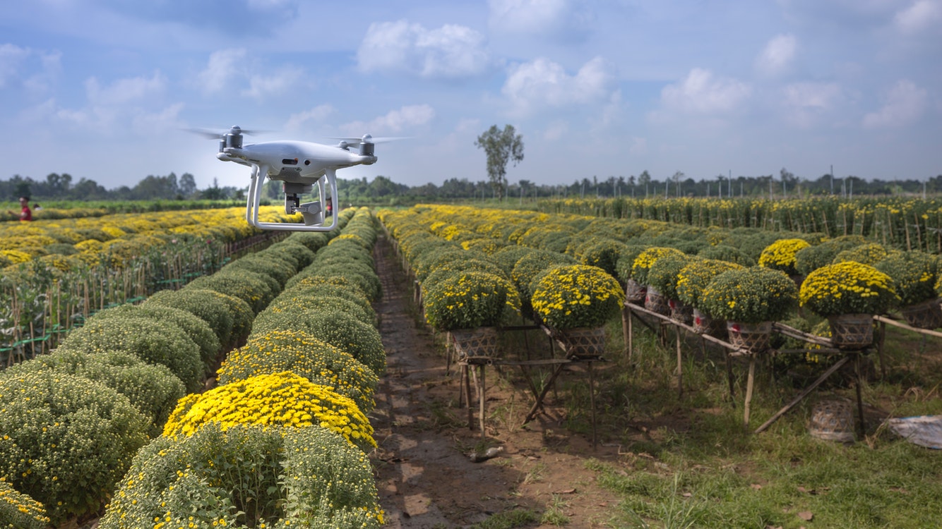 Agriculture and Forestry