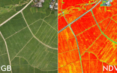 Agrar- und Forstwirtschaft